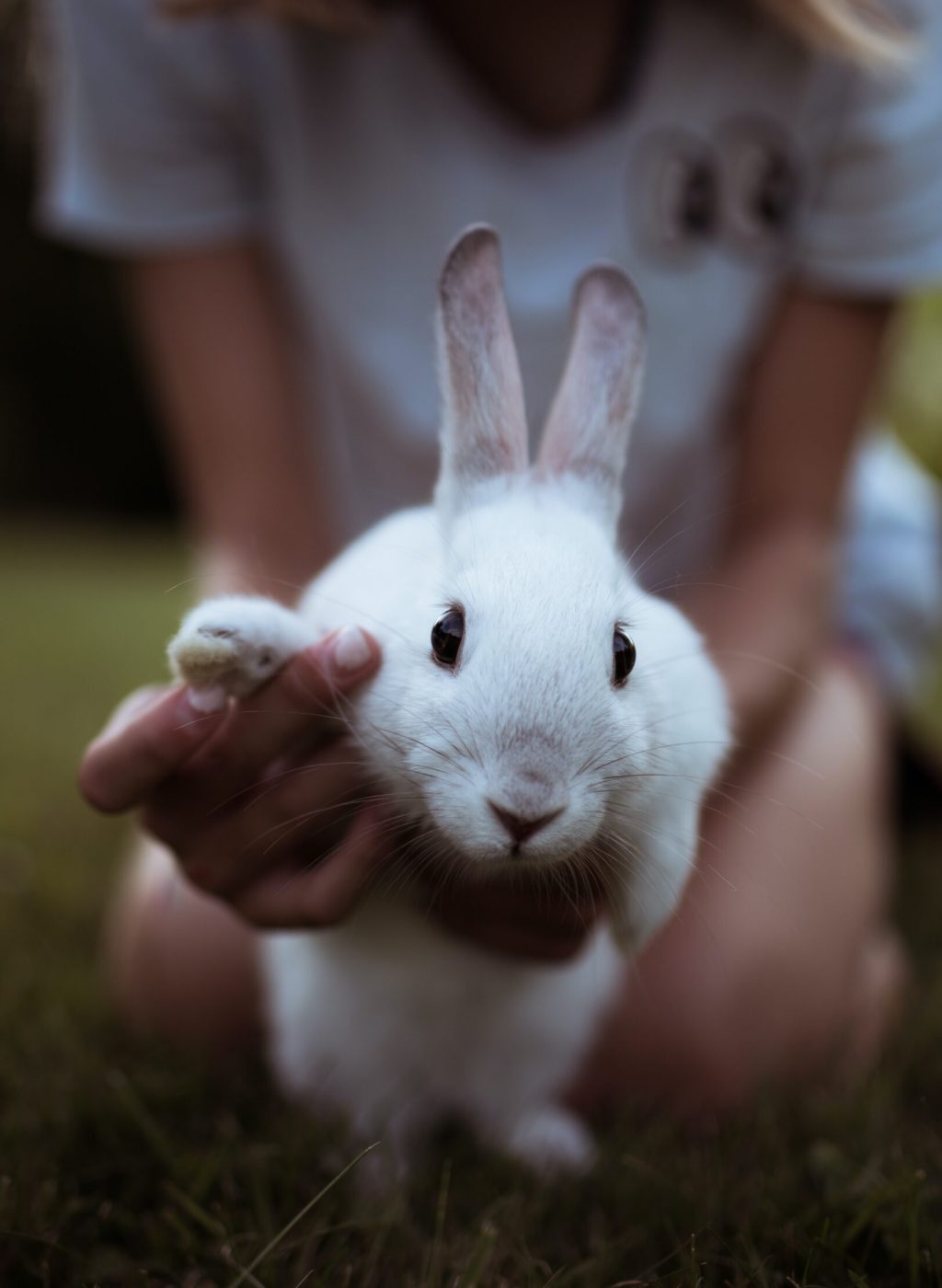 william-daigneault-zokLvUcShAc-unsplash